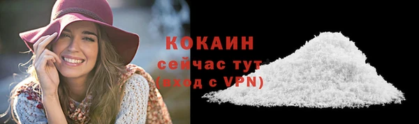 мяу мяу мука Няндома