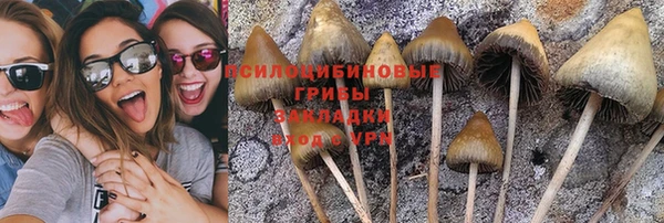 мдма Бабаево