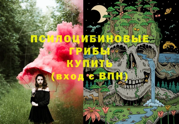 первитин Нягань